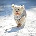 FEimaX Hundepullover Hundejacke Winter Warme Hundemantel für Kleine Mittlere Hunde Fleece Hundeweste Welpen Weiche Wintermantel mit Leinenring