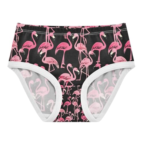 Pink Flamingo Toddler Girls's Underwear 2T 202c1337