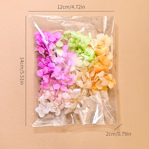 Ramo de Flores Secas en Resina para Decoración miniatura 7