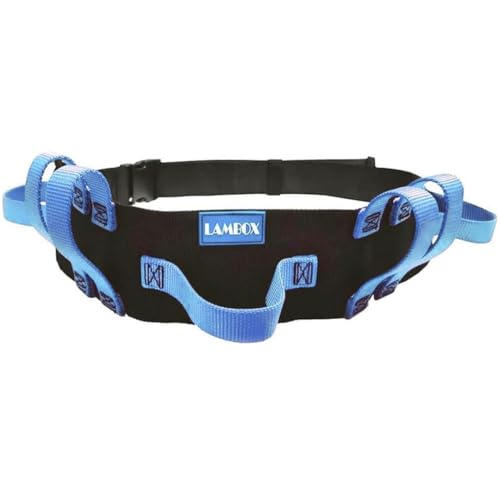 LAMBOX Gait Belt Transfer Walking Belt with Multi Handles- Walking Assist Aid for Elderly, Seniors, Therapy