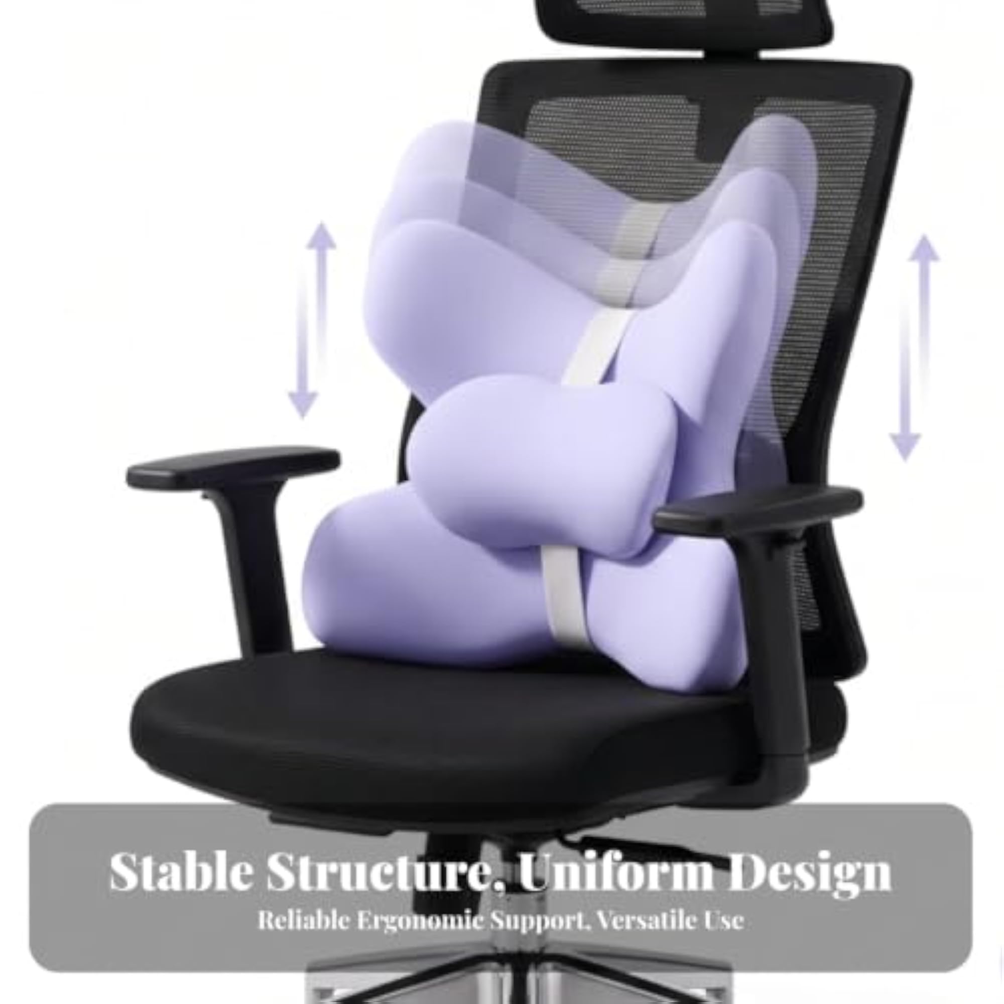 Ergonomic Back Support Cushion with Adjustable Straps