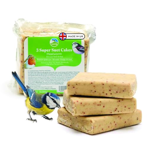 RSPB - Suet Cakes for Wild Birds, Wild Bird Food for Small Birds with Dried Mealworms, Peanuts, Millet Seeds, and Rapeseeds, Individually Wrapped, Easy to Open (3 x 280g)