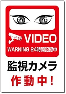 Amazon Co Jp 防犯カメラ プレート