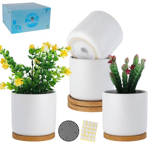 TAMAYKIM 4 Inch White Ceramic Plant Pots with Drainage Holes, Adorable Flower Planter Pot with Tray for Indoor Succulent Plants, Snake Plants, Cactus & Herbs, Set of 4 (Plant Not Included)