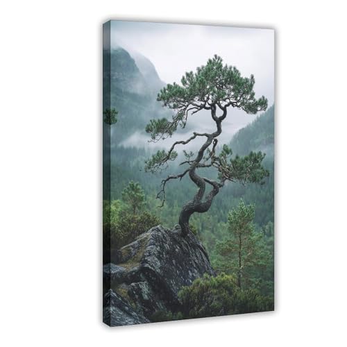 Verdure et brume poster sur toile de paysage rural, idée cadeau idéale