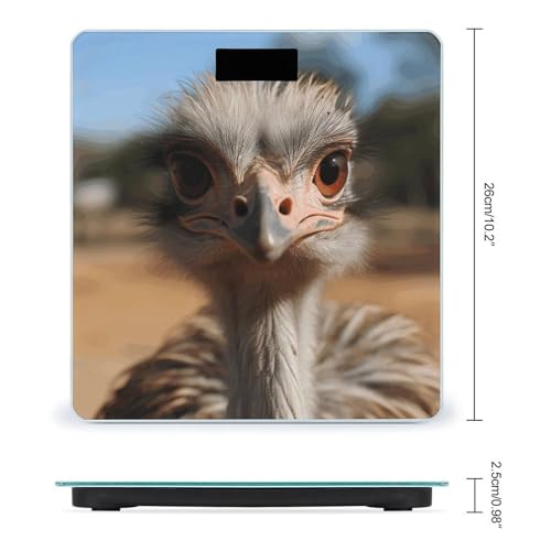 Báscula Digital de Baño con Diseño de Avestruz y Plataforma de Vidrio Templado miniatura 2