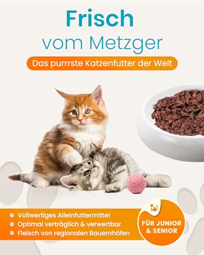 Lucky-Kitty Katzenfutter Nass Pute, 95% Fleisch I Katzenfutter ohne Getreide & Zucker, Lebensmittelqualität I Nassfutter für Katzen, Keine Zusätze I Kittenfutter Made in Germany I 4x200g