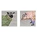 Stupell Industries Stylish Barnyard Animal Paintings Wall Plaque, 2pc Each 12 x 12, Multi-Color