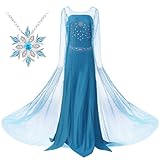 SOTOTOO Princess Anna for Women Coronation Dress Adult Costume Anna Wig Elsa Wig Cosplay Christmas Halloween (Blue,L)