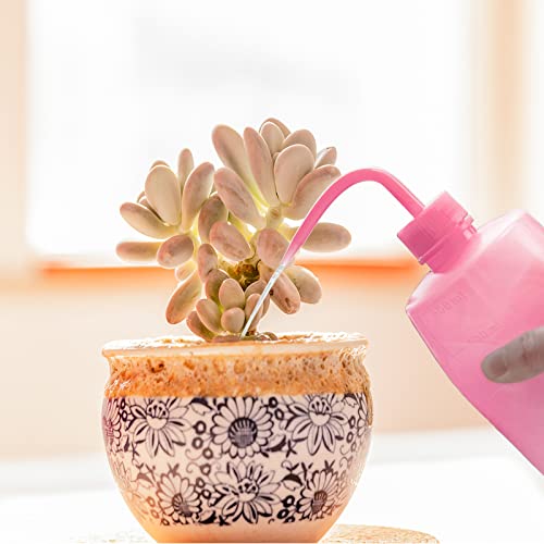 Tattoo Wash Bottle- Melphoe 2Pcs 500Ml Water Squirt Bottle Succulent Watering, Safety Rinse Bottle Watering Tools, Economy Plastic Squeeze Washing Bottle For Medical Lab, Tattoo Supplies, Irrigation Squeeze Sprinkling Can Wash Plant Bottle (Pink) #TOP2
