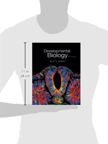 Sinauer Associates, Inc. Gilbert, Scott F. Developmental Biology thumb #2