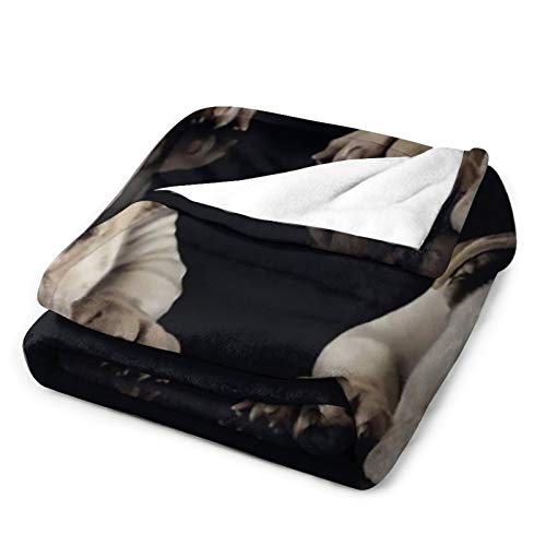Fleece Flannel Throw Blanket Classic Air-Conditioned Quilts Reversible Fluffy Blanket Bull Dog Pattern Bed Throws For Couch Home Bedroom, 30 X 40 Inches #TOP2