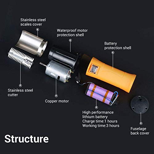 Electric Fish Scaler Remover, Amayia Upgrade Powerful Electric Fish Scaler Skin Deslagger Scaler Rechargeable Waterproof Fish Scaler Automatic Electric Fish Skin Clean Brush (With One Extra Head) #TOP6