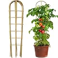 Taoskai 5 Pack 4 Feet U-Shape Bamboo Trellis, Natural Bamboo Trellis for Climbing Plants, Vegetables, Cucumber, Tomato, Outdoor and Indoor Potted Plants