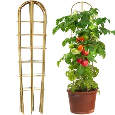 Taoskai 5 Pack 4 Feet U-Shape Bamboo Trellis, Natural Bamboo Trellis for Climbing Plants, Vegetables, Cucumber, Tomato, Outdoor and Indoor Potted Plants