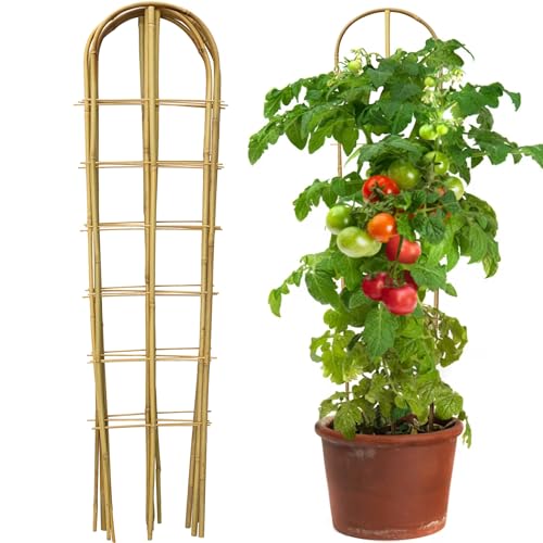Taoskai 5 Pack 4 Feet U-Shape Bamboo Trellis, Natural Bamboo Trellis for Climbing Plants...