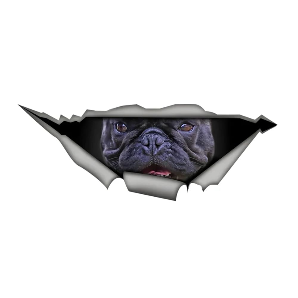 Französische Bulldogge Autoaufkleber, 3D Zerrissener Effekt, Reflektierend, Wasserfest, für Auto, Laptop, Kühlschrank ((18cm/7.09inch))