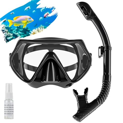 Snorkel Set Adults Scuba Snorkelling Packages with 180 Panoramic Anti-Fog Tempered Glass Snorkel Mask Leak Proof Dry Top Snorkel for Snorkeling Diving Swimming with Anti Fog SprayBlack