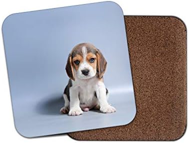Amazon Co Jp 愛らしい子犬ビーグルコースター 犬の子犬かわいいハウンド赤ちゃんペットの楽しいギフト ホーム キッチン