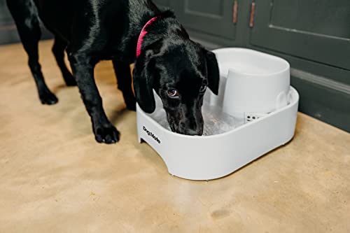 Dog Mate Large Fresh Water Drinking Fountain For Dogs And Cats #TOP4