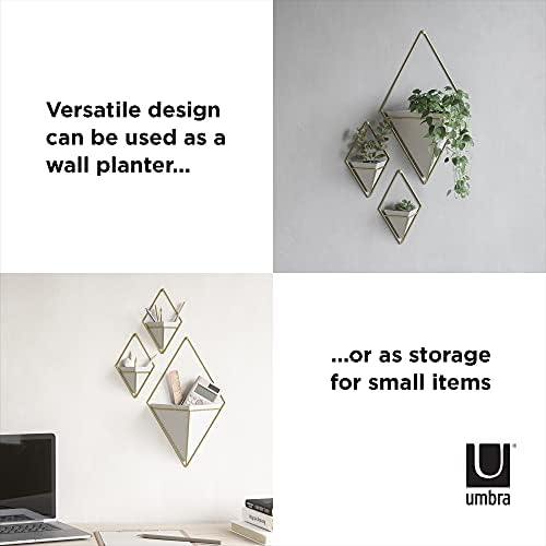 Umbra Trigg Hanging Planter Vase & Geometric Wall Decor Concrete Container - Great For Succulent Plants, Air Plant, Mini Cactus, Faux Plants and More, Set of 2, Small, White/Brass