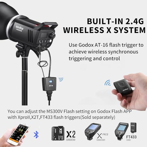 2pcs Godox MS300V Studio Flash Kit for Photography,600W Bowens Mount Professional Strobe Lighting Flash with Trigger,Tripod Stands,Softboxes,Carry Bag,Umbrella for Photo Portrait Product Shooting