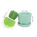 PRETYZOOM 1Set Cactus Dish Cleaning Brush Set Innovative Kitchen Scrubbers for Deep Cleaning Plates Pots Pans Gentle Hands Quick Drying Design for All Dishware