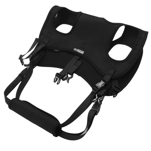 Totority ^  XO ؒf  n[lX ybg n[lX  LA