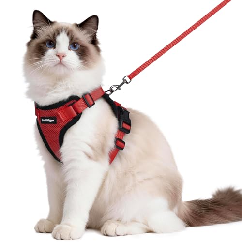 rabbitgoo Pettorina Gatto Antifuga con Guinzaglio, Guinzaglio per Gatti Regolabile, Pettorina Cane Taglia Piccola Riflettente, Imbracatura Gatto Adulto in Maglia Traspirante per Passeggiate, Rosso, M