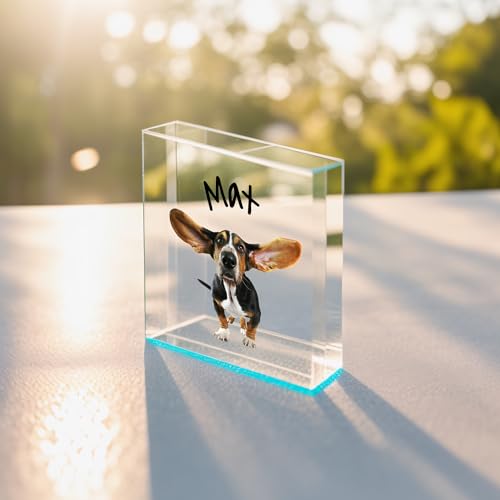 TULLUN Personalisierte Individuelle Benutzerdefinierte Haustier Denkmal Hund Katze Tier Acryl Kristall Klar Block Plaque Plakette Foto Text Name Datum - Vollständiger Druck 3D Effekt