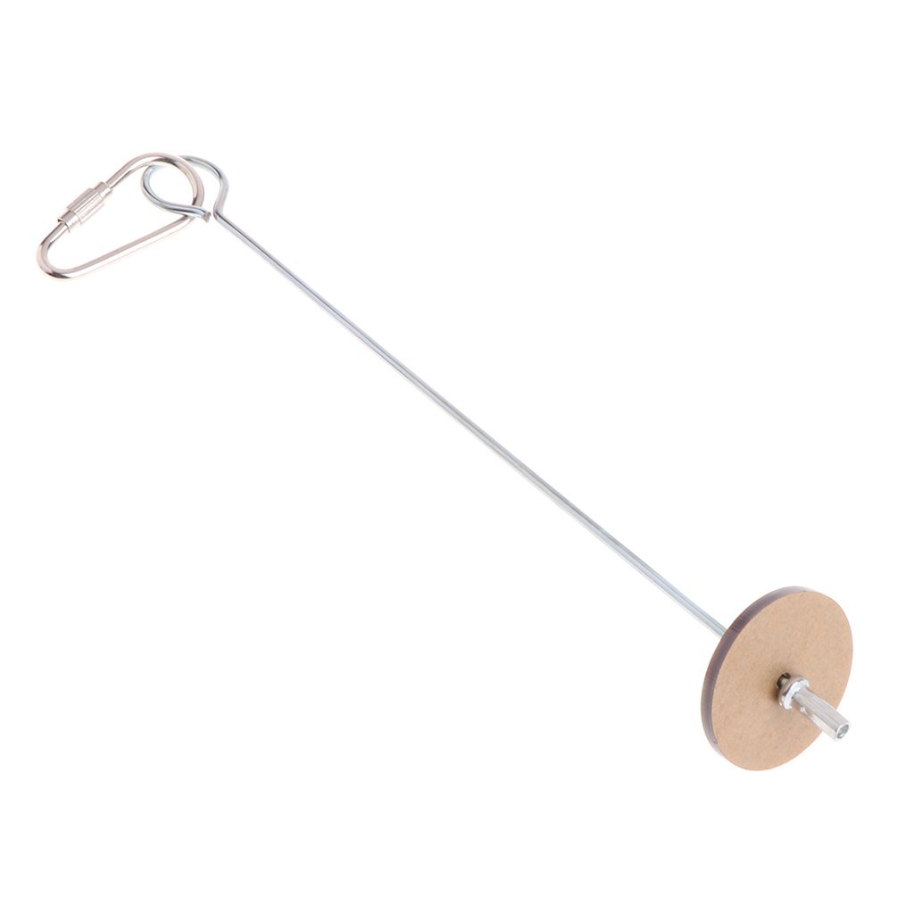 Ankexin Bird Food Holder Parrot Foraging Toys for Coop Hanging Stainless Steel Treat Veggie Skewer for Parakeets Conures