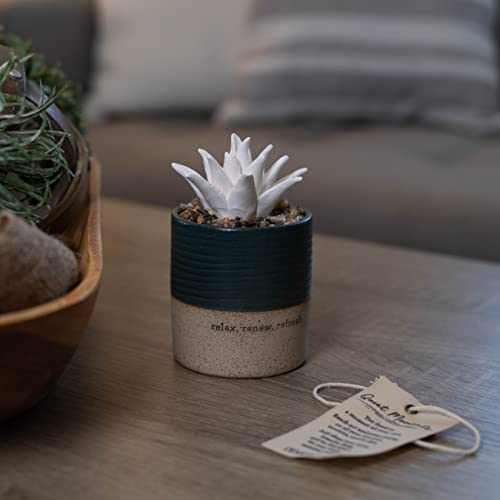Demdaco Relax Renew Refresh Rich Blue Succulent 3 X 5 Stoneware Decorative Tabletop Oil Diffuser #TOP4