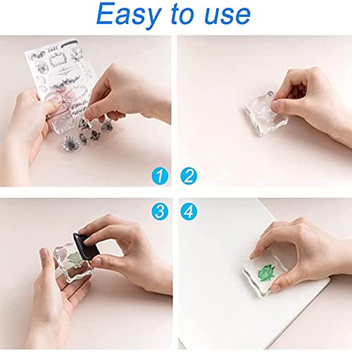 PhoenixDN 7 Pezzi Blocco Timbro Acrilico