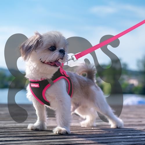 rabbitgoo Step-In Harness & Leash Set (Black & Rose Red, Small) — view 8