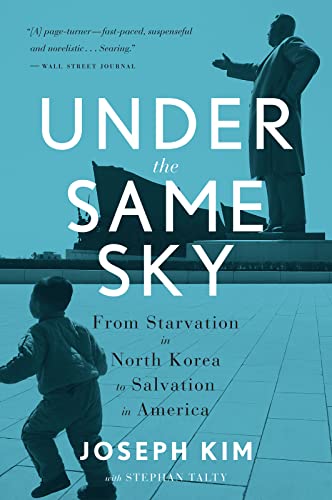 Under The Same Sky view 2