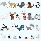 Sonwyoung 23 Pcs Felt Board Story Sets Polar Animals Felt Story Board Pieces Arctic Antarctica Ocean Animal Bear Penguin Whale Preschool Wall Storyboard Educational Learning Play Kit for Kids