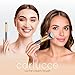 Carlucce Cream Brush - Contour Makeup Brush, Multifunctional Geometric Angled Makeup Brush for Blending, Contouring, and Highlighting, Soft, Vegan, and Made in USA - Hush-Hush Brush