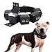 Walktime, Dog Collar, Tactical Dog Collar, Weighted Dog Collar with Weights for Dog Training and Exercise Equipment - Free Weights, Small, Medium, Large Dogs