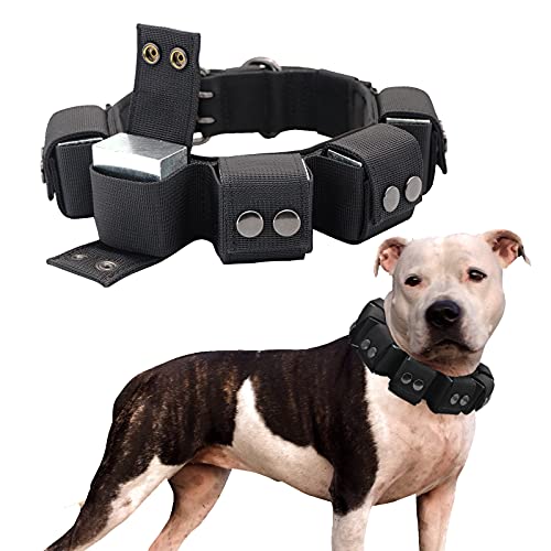 Walktime Tactical Dog Collar With Weights for Training and Exercise - Free Weights for Small Medium, Large Dogs