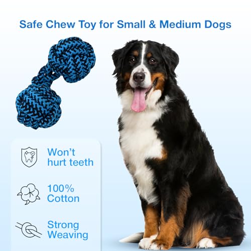 Image of Knotted Dumbbell Rope for Dogs and Pets |Durable Chew Cotton Knotted Dumbbell Shape Tug Rope Toy |Chewing and Teething for Dogs and Puppies Woven Rope Dog Toy, 23 cm (Blue)