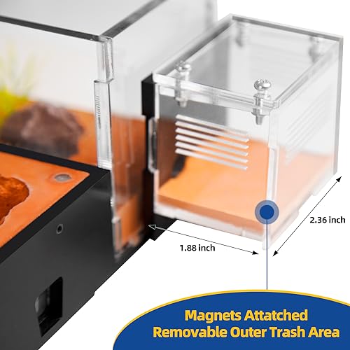 Rimsunta Ant Farm Ant House for ant Farm for Adults Study of Ant Behavior Ant Nest ant Terrarium Educational Formicarium for Live Ants and Queen - Image 5