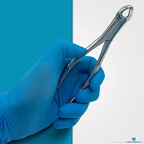 Dexa Dental Heavy Duty Dental Extracting Forceps # 151 Apical Forcep #TOP6