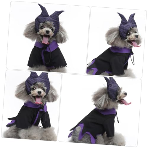 Disfraz Halloween para Perro Tamaño L, Sombrero Bruja miniatura 3