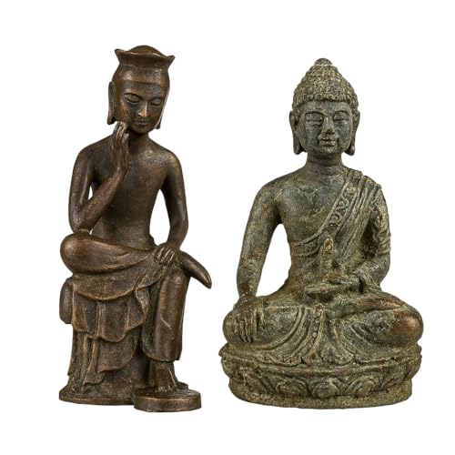  F  ~j  6cm   J^   {  RNV (2FZbg) [sAi]