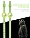 Joytale Reflective AirTag Cat Collar, Breakaway Buckle, 2 Pack Lightweight AirTag Holder Pet Collars with Bell, Adjustable 7.5-12.5 Inch for Girl Boy Cats Kitten Puppy, Green