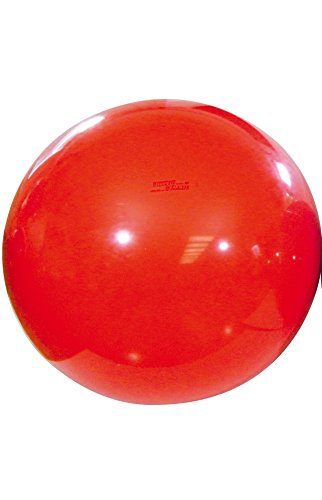 ギムニク フィジオギムニク 120 赤 LP9598 イタリア製