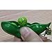 iMagitek 3 Pcs Stress Relieve Keychains, Squeeze-a-Bean Soybean Stress Relieving Playful Charms Extrusion Edamame Pea Keychain for Mobile Phones and Keys - Green