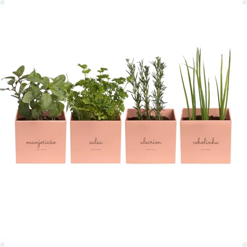 Kit 4x Vasos Autoirrigáveis Minha Horta Branco Cinza Creme Rosa Salmão Jardim Hortaliças Manjericão
