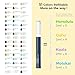Ohuhu Alcohol Markers Brush Tip: 48-Color Double Tipped Art Marker Set for Artist Adults Coloring Illustrations -Honolulu -Brush & Chisel -Refillable