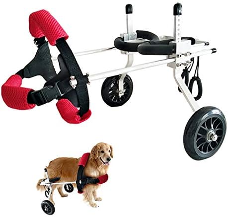 Adjustable Dog Wheelchair for Hind Legs - 2 Wheels Pet Mobility Harness for Handicapped Small Dogs, Puppies & Doggies - Ideal for Rehabilitation & Training